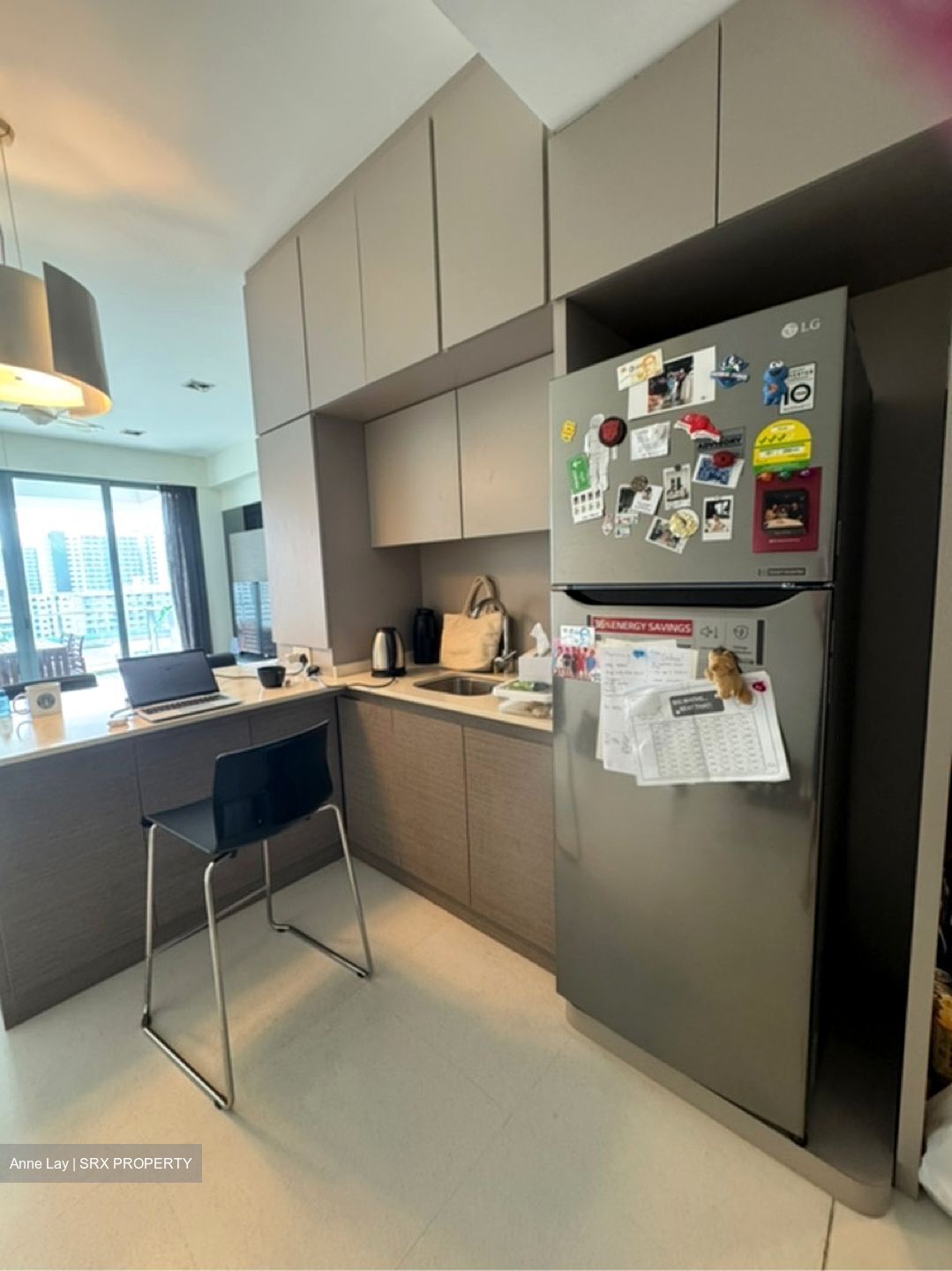Dakota Residences (D14), Condominium #589741041